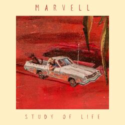 Cover of Study Of Life