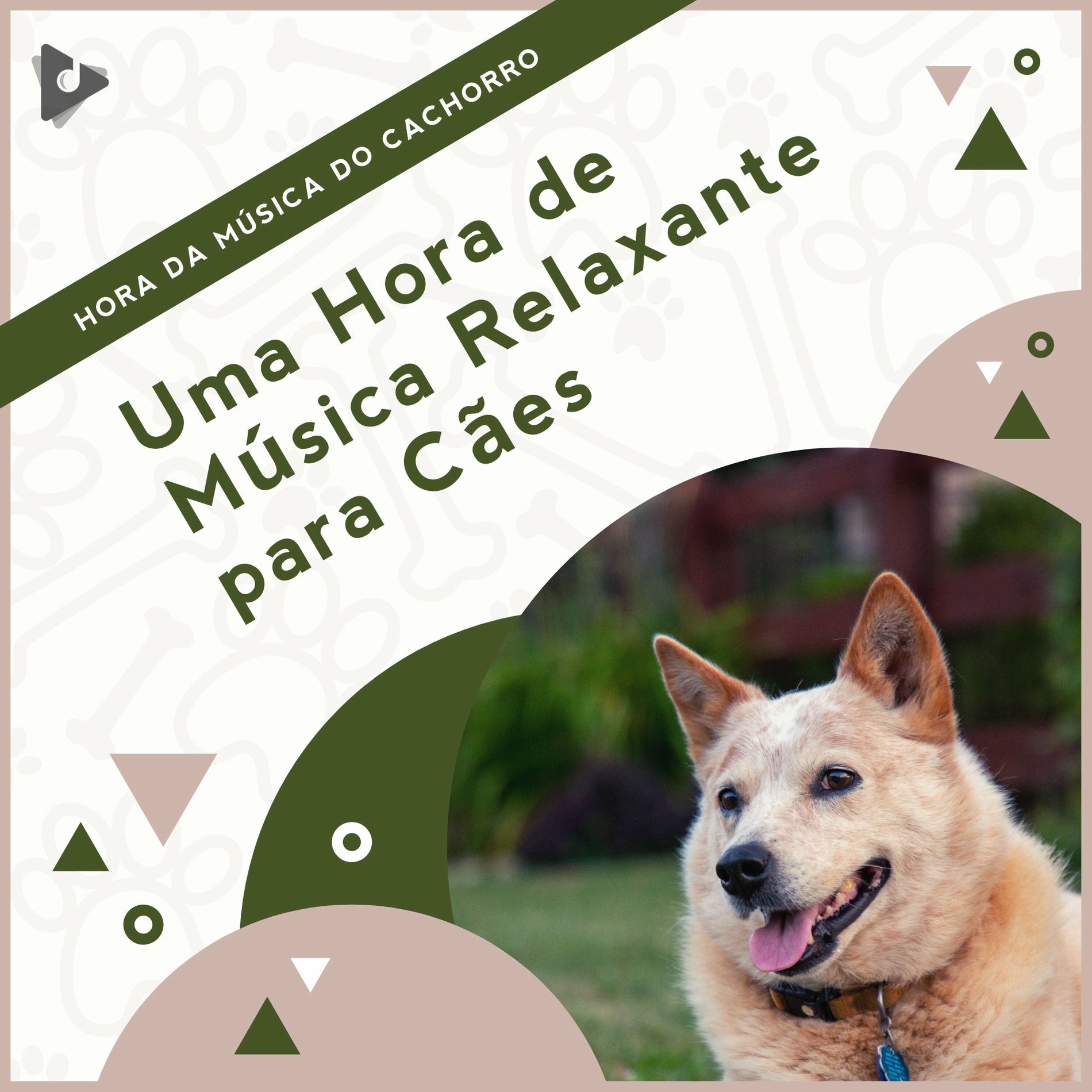 Album cover of 1 Hora de Música Relaxante para Cães