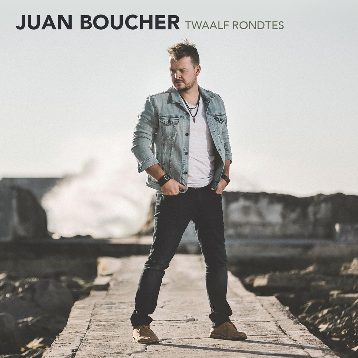 Album cover of Vlieg Met Jou Liefde Terug