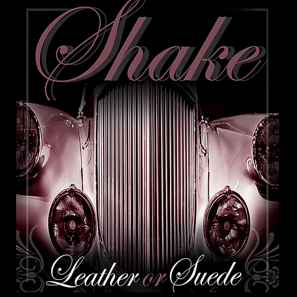 Picture of Leather or Suede