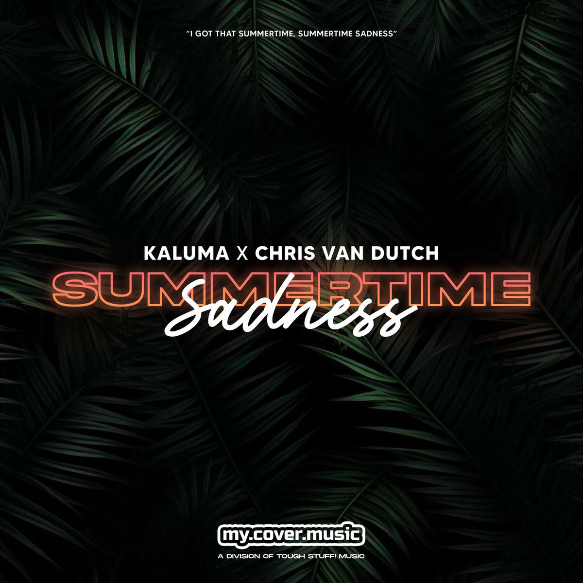 Album cover of Summertime Sadness