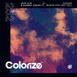 Cover of Oceans (Where Feet May Fail)