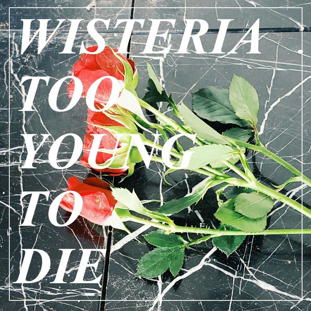 Picture of Too Young to Die