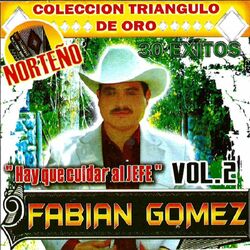 Cover of 30 Exitos Vol.2