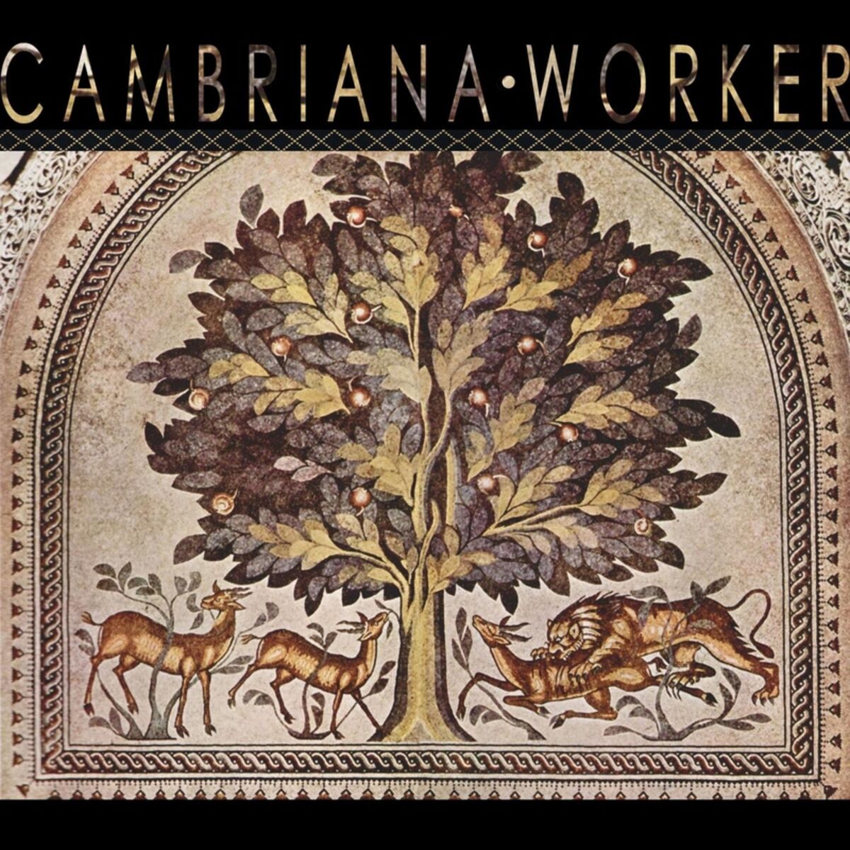 Album cover of Worker