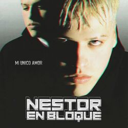 Cover of Mi Único Amor