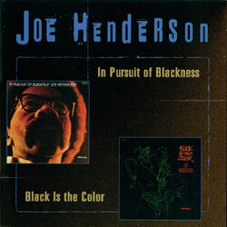 Cover of In Pursuit Of Blackness/Black Is The Color