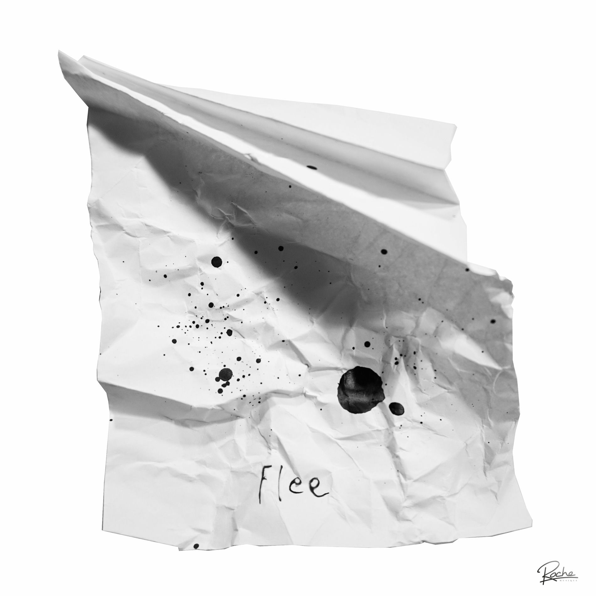 Album cover of Flee (feat. Ann Shirley)