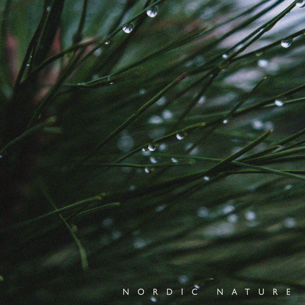 Picture of Rain For Sleeping Babies