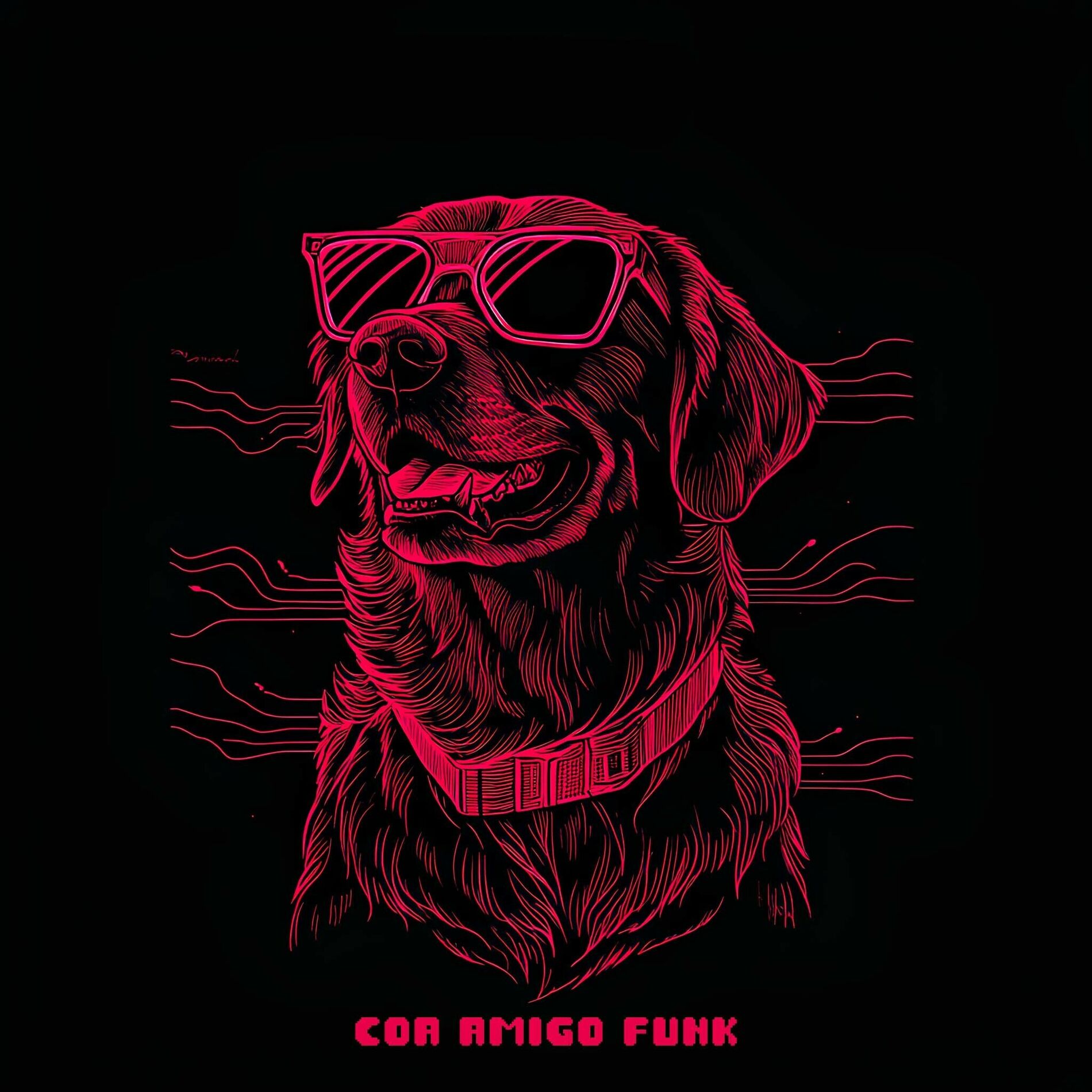 Album cover of Cão Amigo Funk