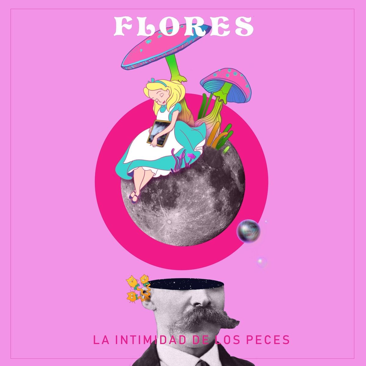Album cover of La Intimidad de los Peces