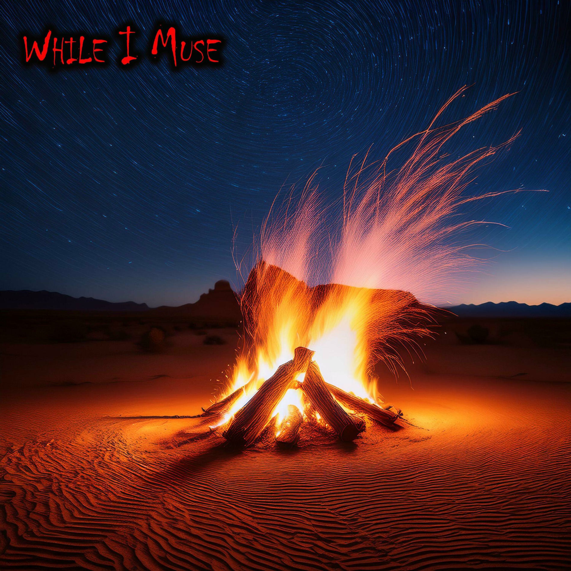 Album cover of While I Muse