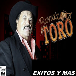 Cover of Exitos Y Mas