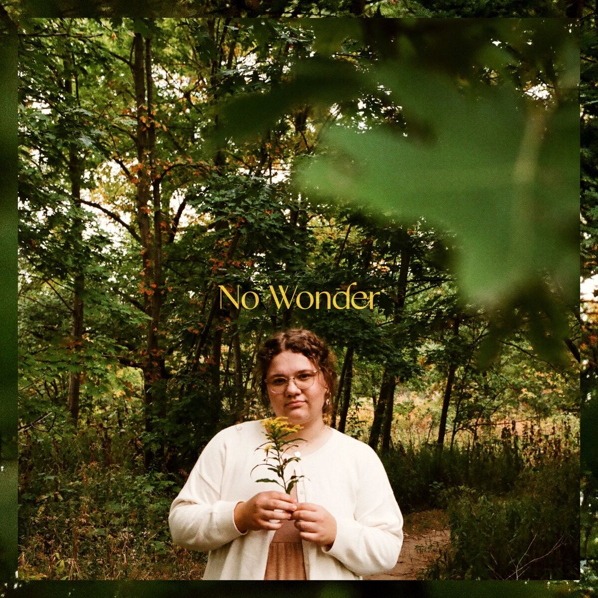 Album cover of No Wonder