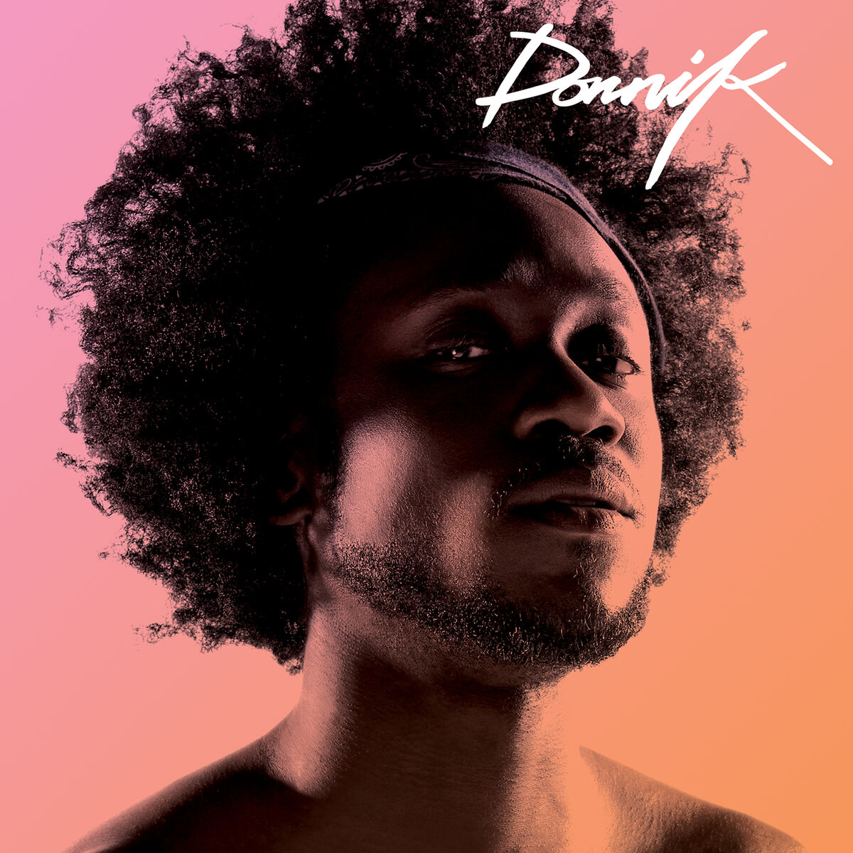 Album cover of Dornik