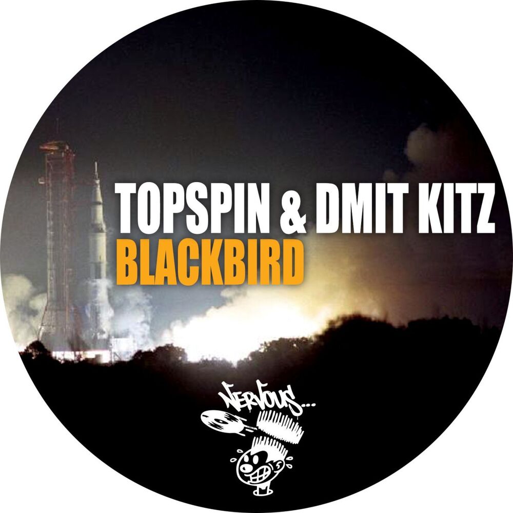 Picture of Blackbird