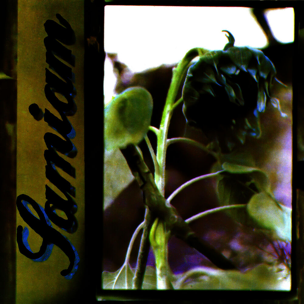 Picture of Samiam