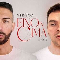 Cover of Fino In Cima