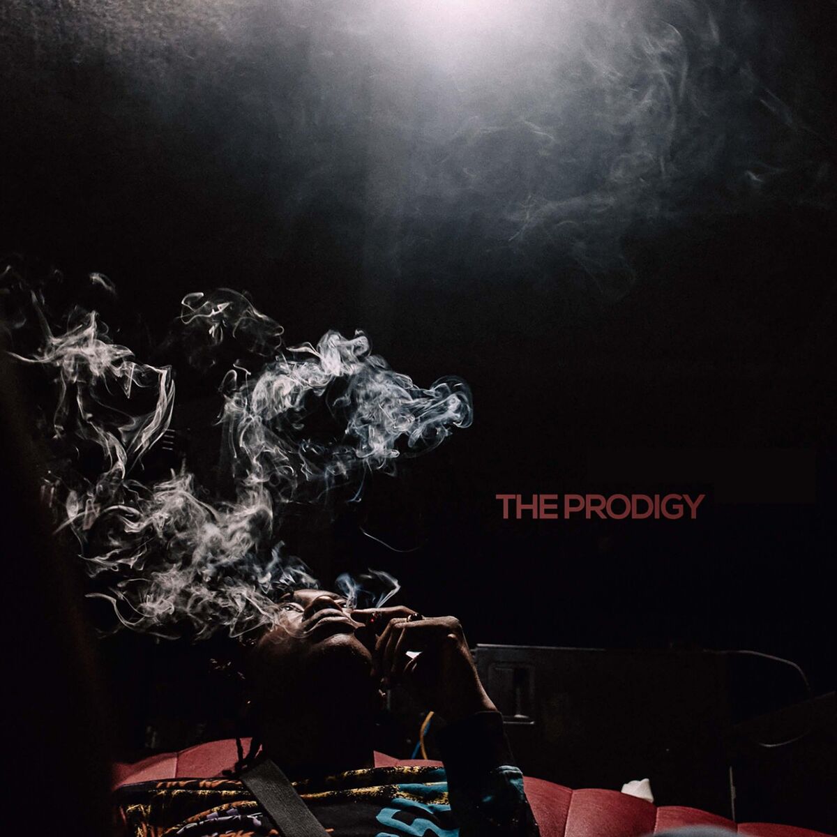 Album picture of The Prodigy