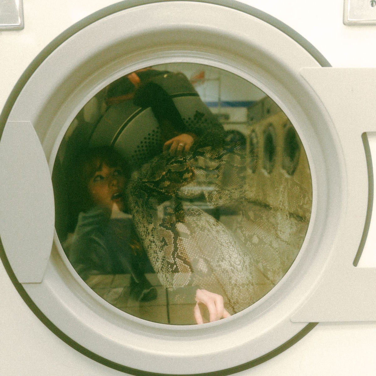 Album cover of Delicate Cycle