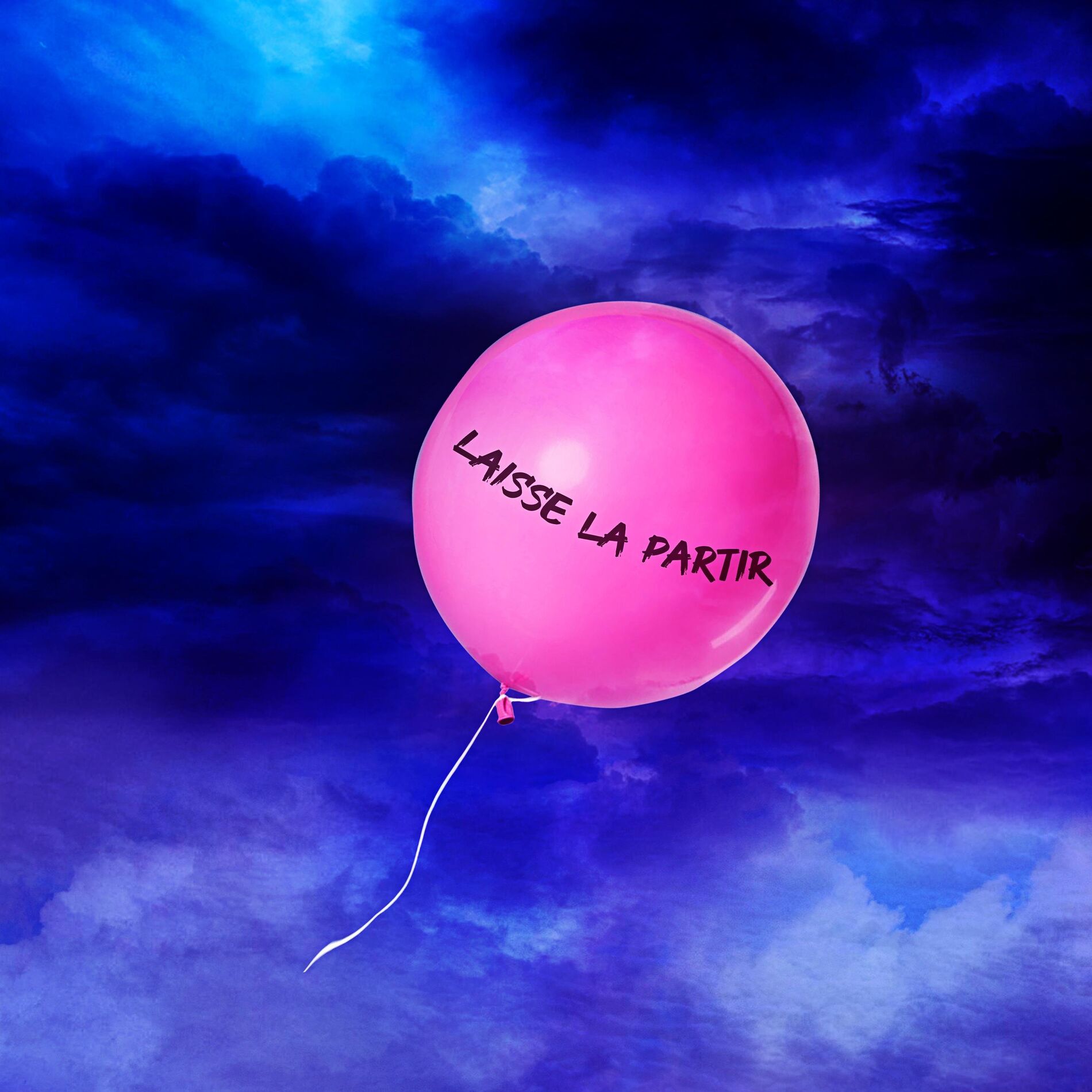 Album cover of Laisse la partir