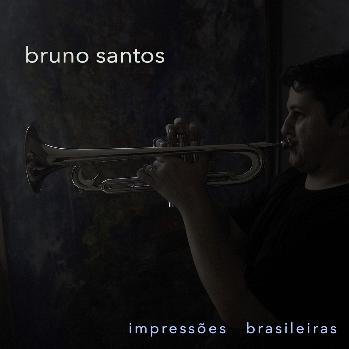 Album cover of Impressões Brasileiras