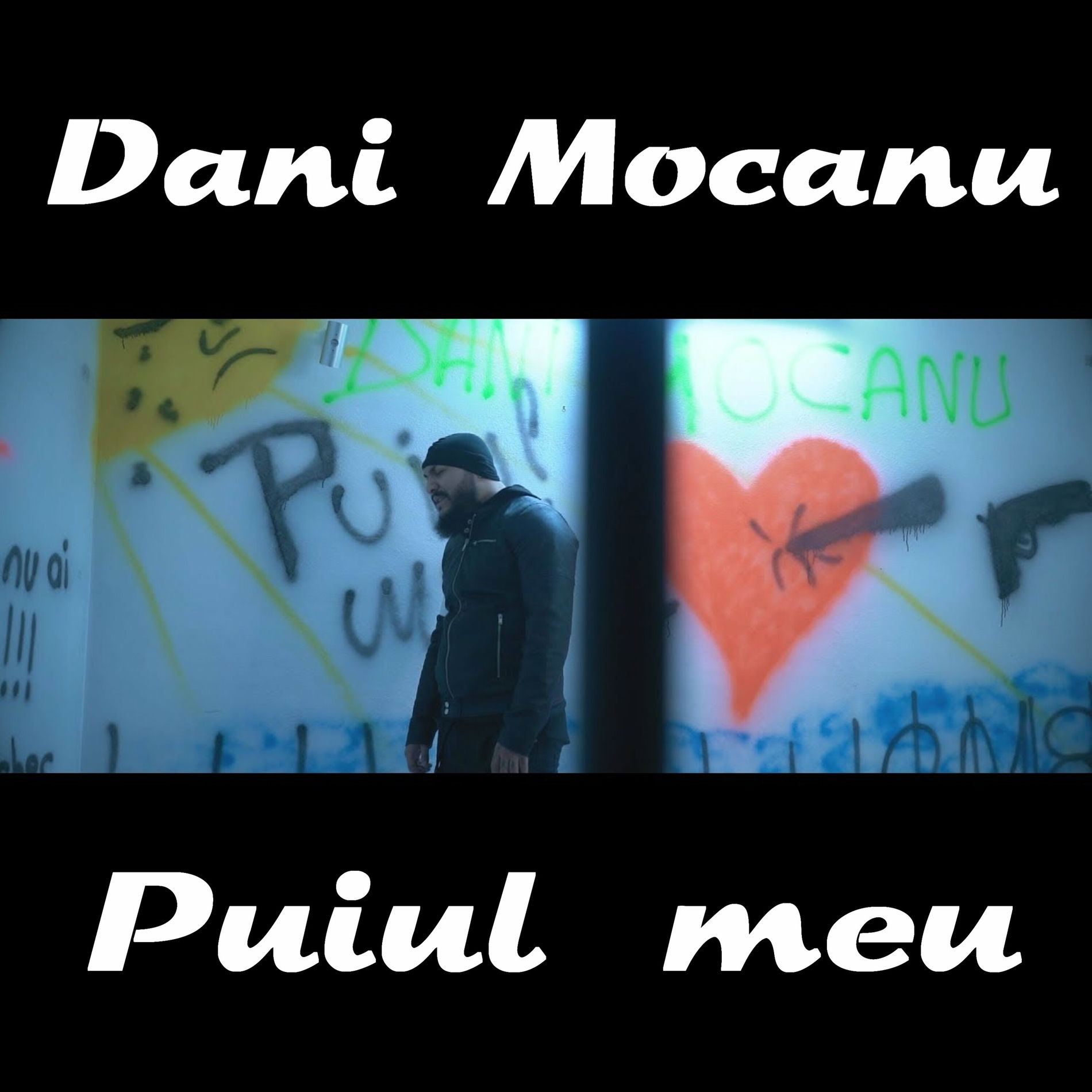 Album cover of Puiul meu