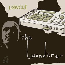 Cover of The Wanderer