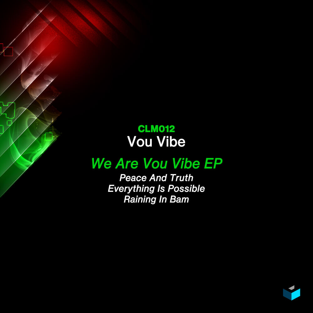 Picture of We Are Vou Vibe