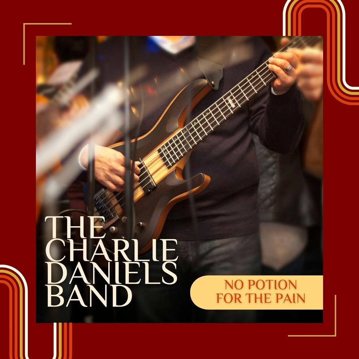Album cover of No Potion For The Pain