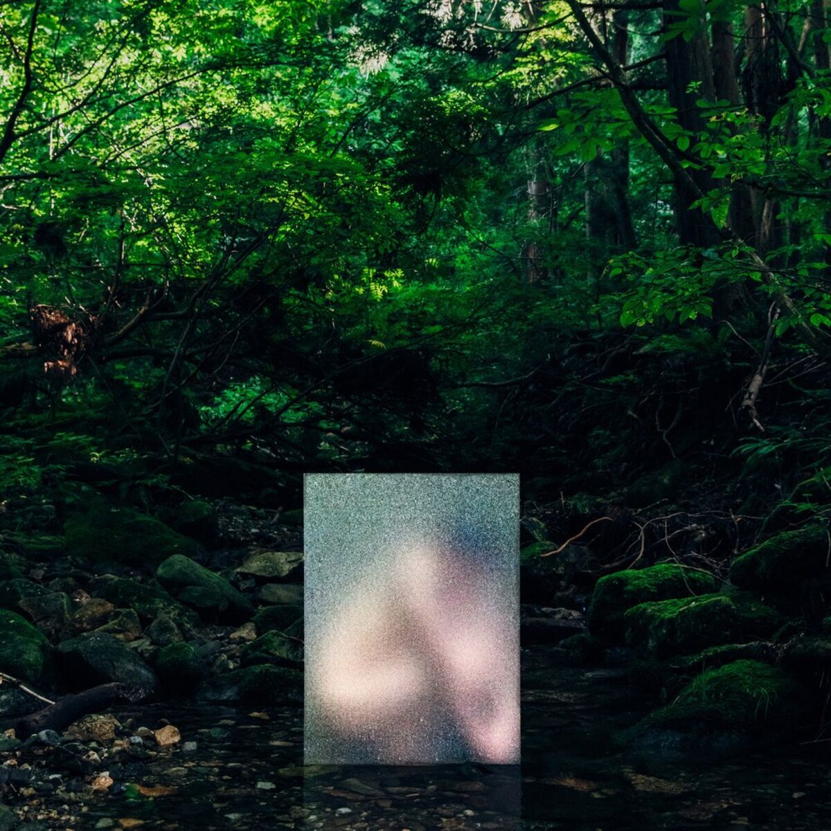Album cover of P-mamama