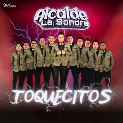 Cover of Toquecitos