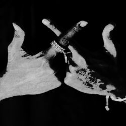 Cover of 1X