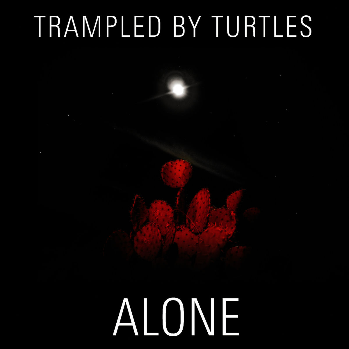 Album cover of Alone