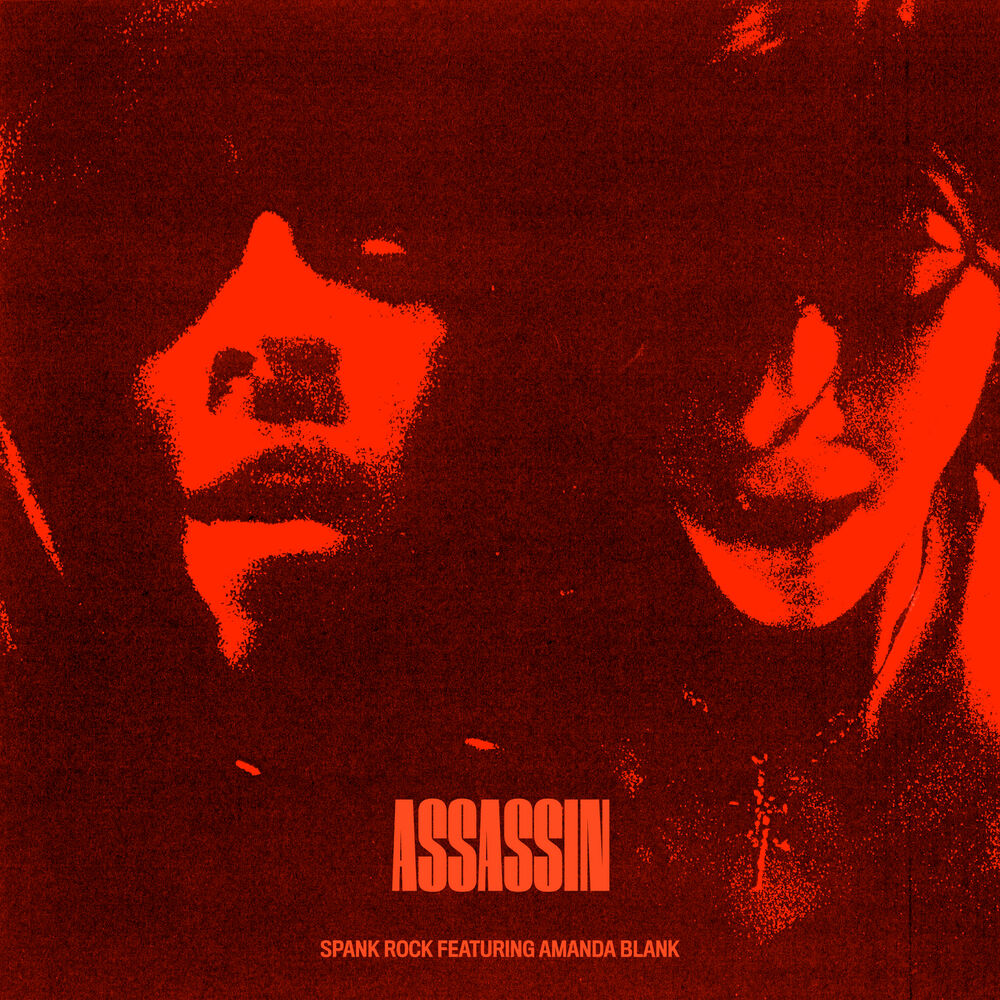 Picture of Assassin (feat. Amanda Blank)