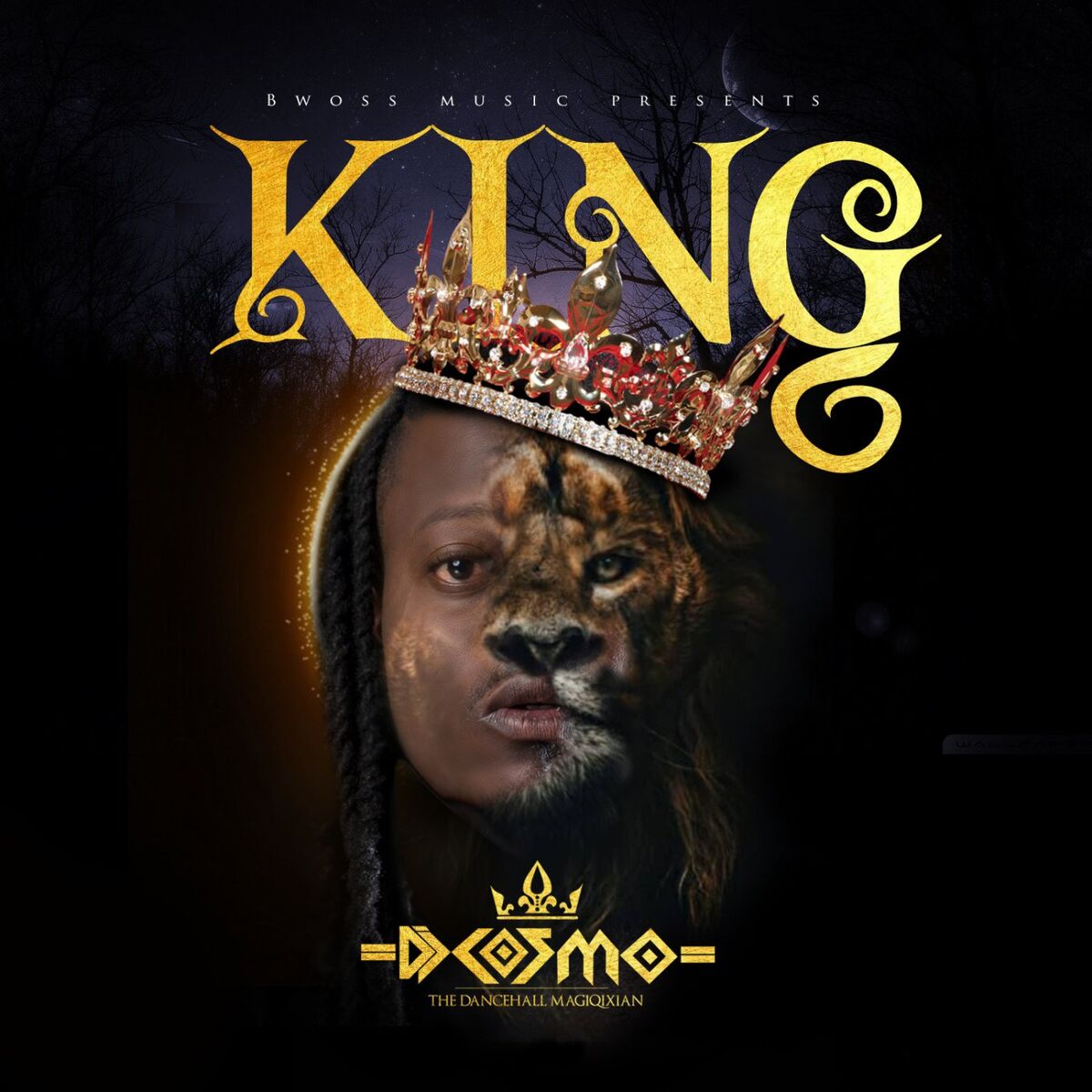 Album cover of King