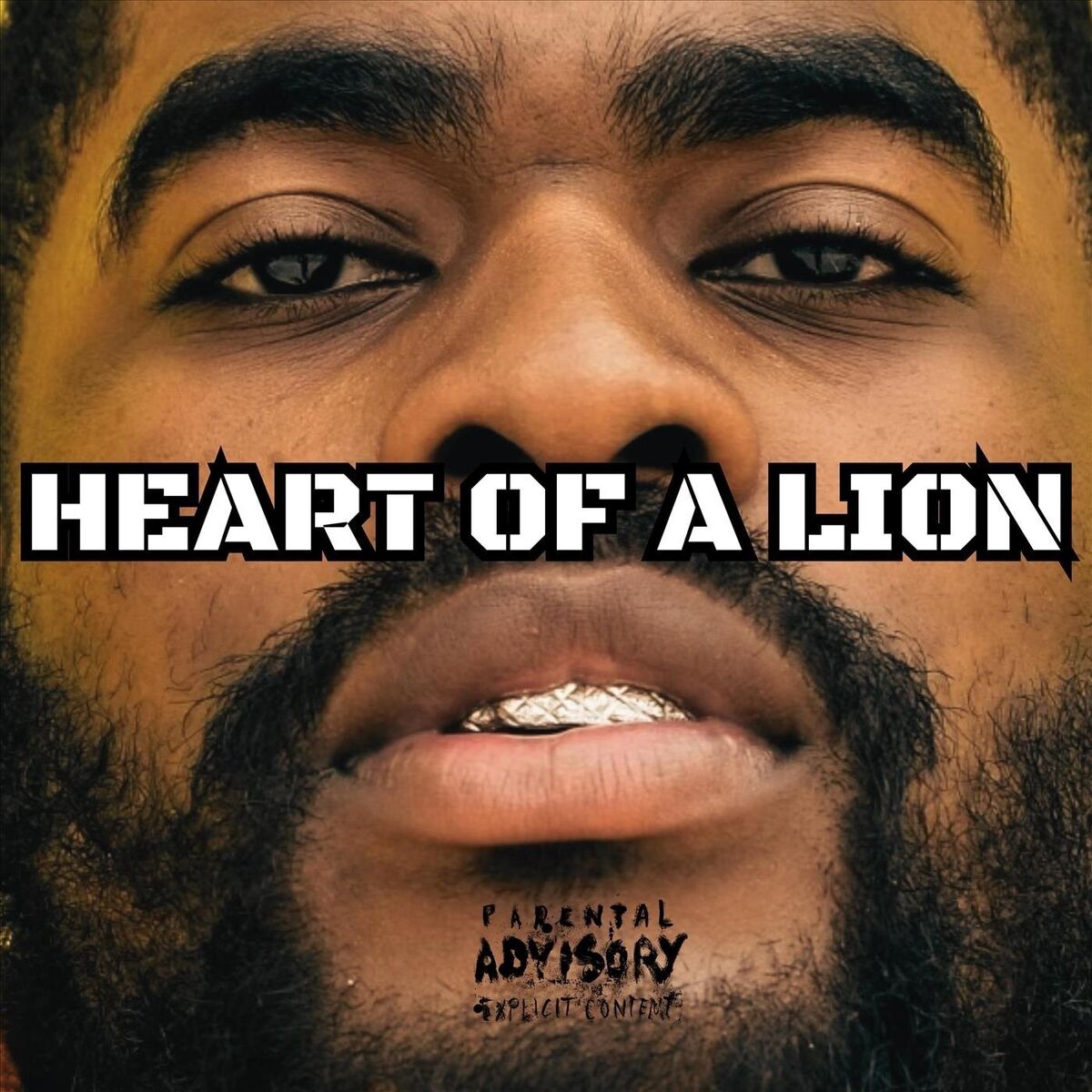 Album cover of HEART OF A LION