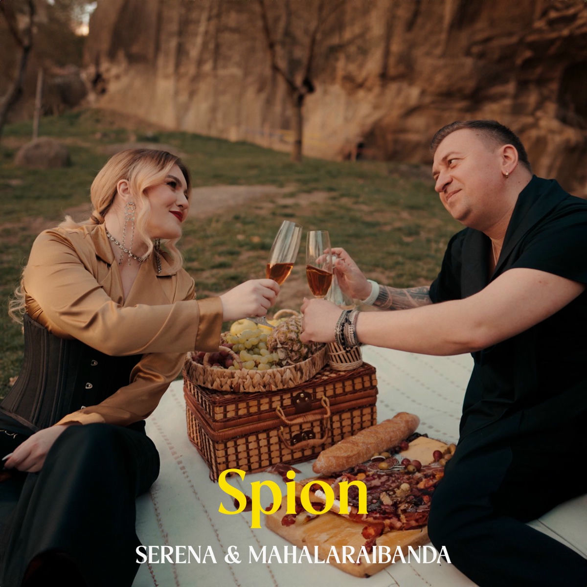 Album cover of Spion