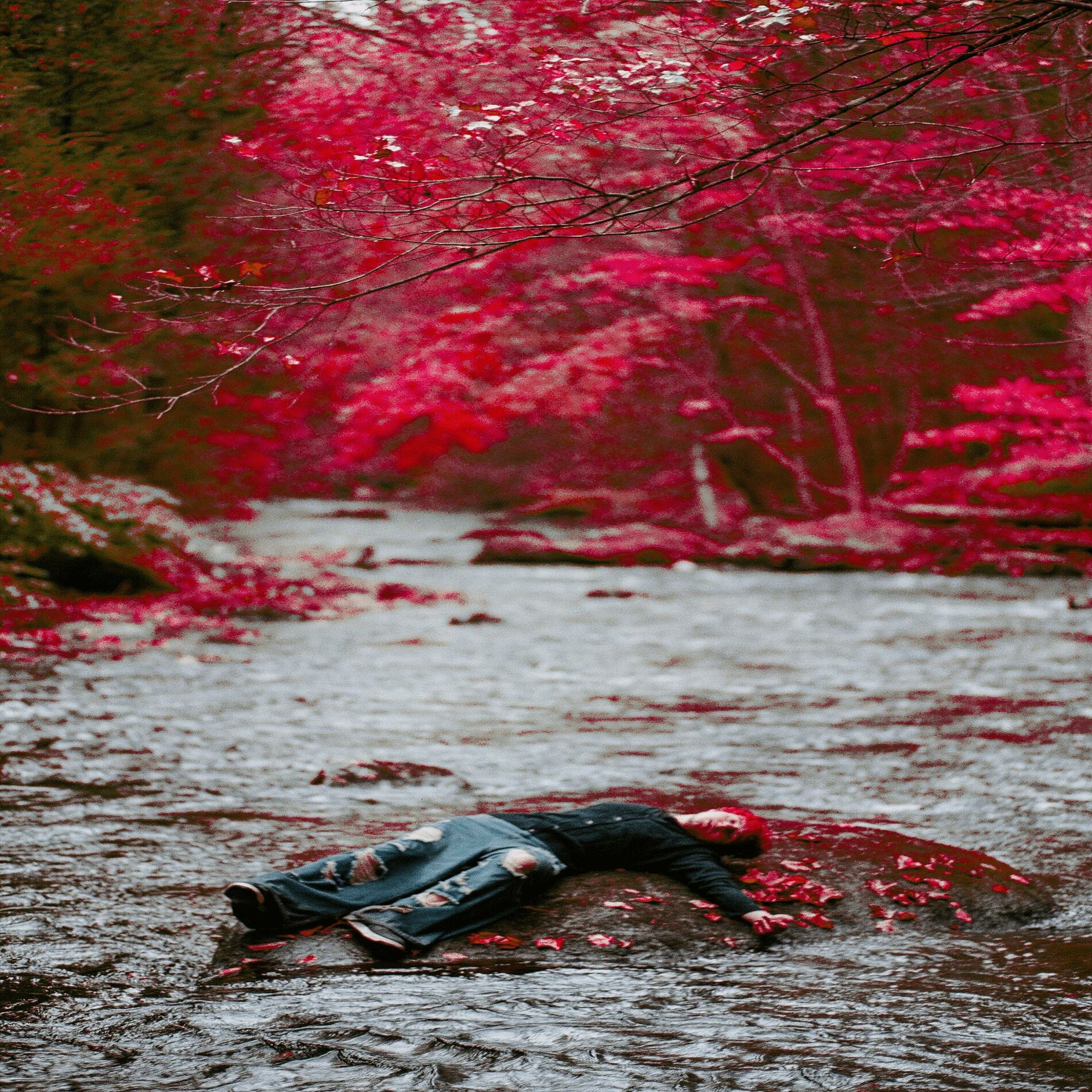 Album cover of Nothing Lasts Forever