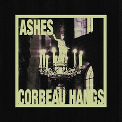 Cover of Ashes