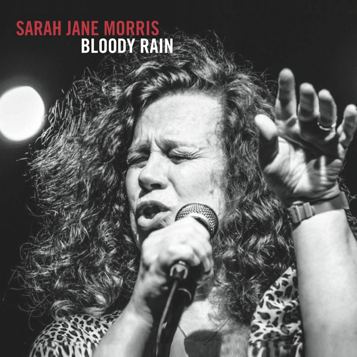 Album cover of Bloody Rain