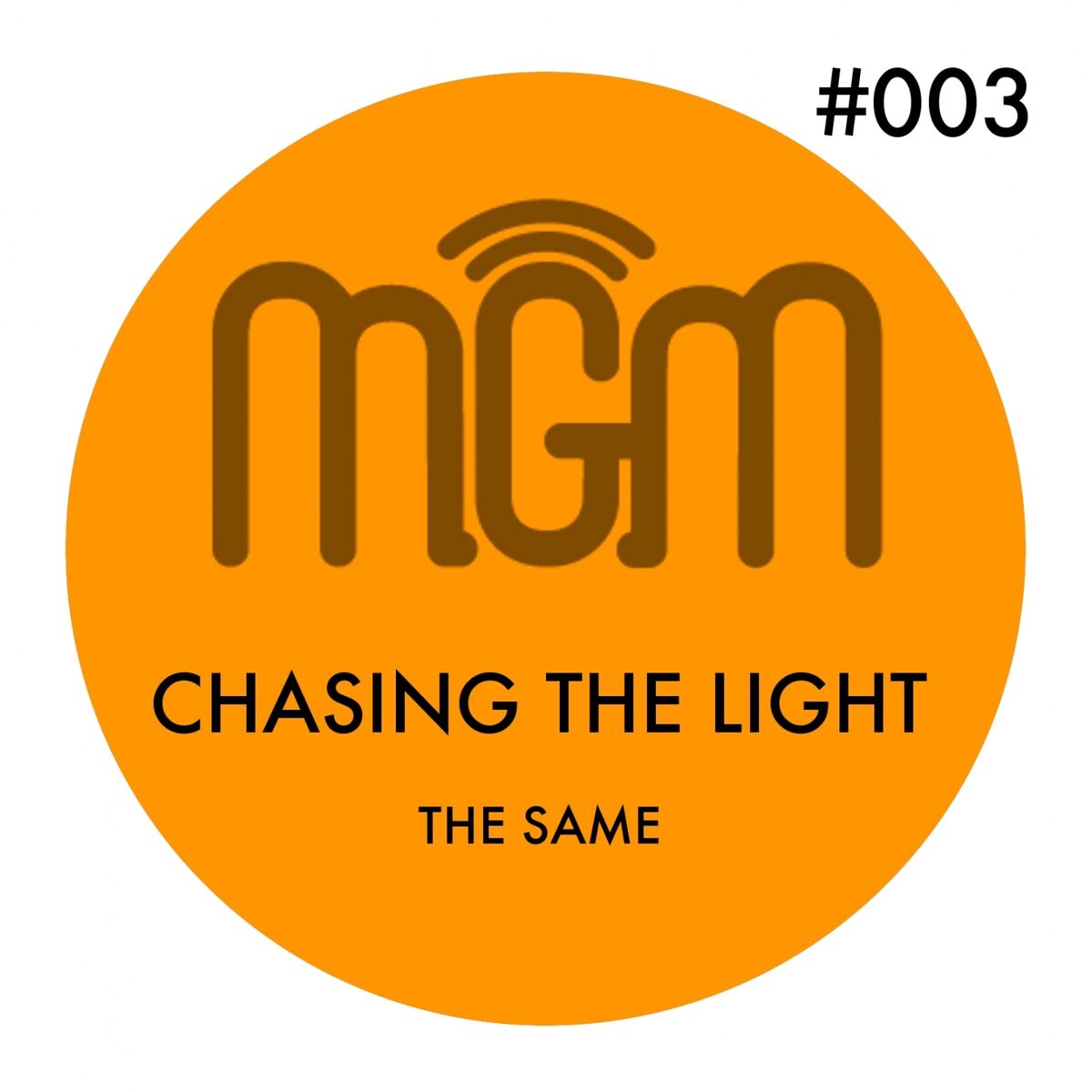 Album cover of Chasing the Light