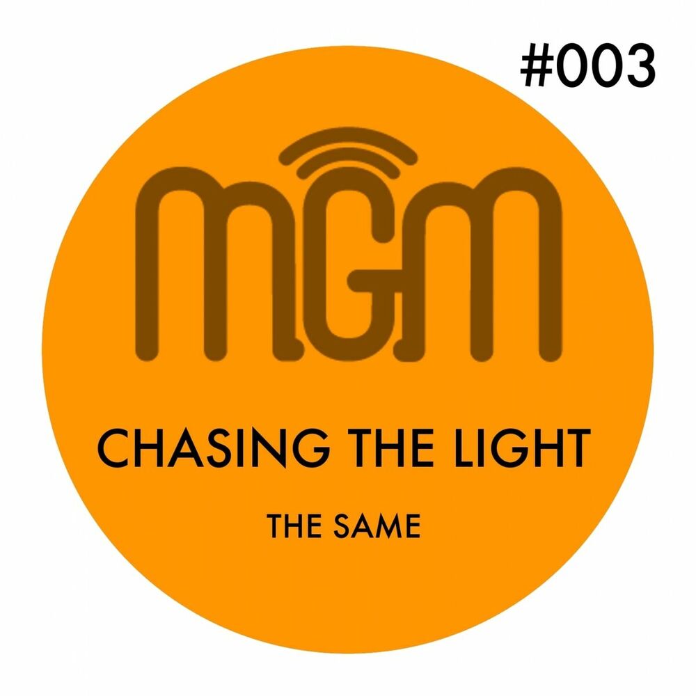 Picture of Chasing the Light