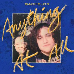 Cover of Anything at All