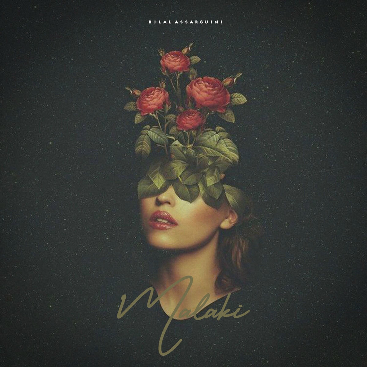 Album cover of Malaki