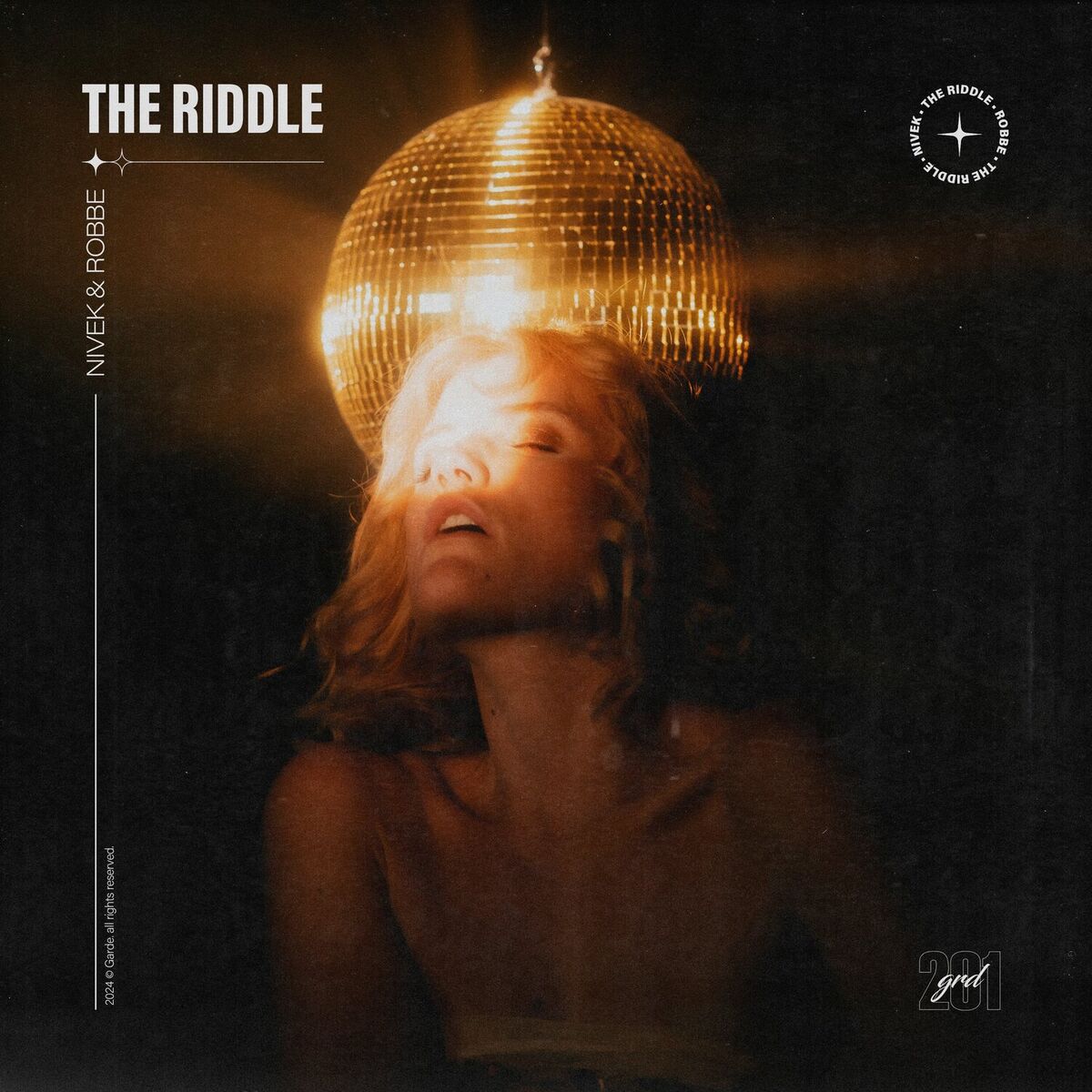 Album cover of The Riddle