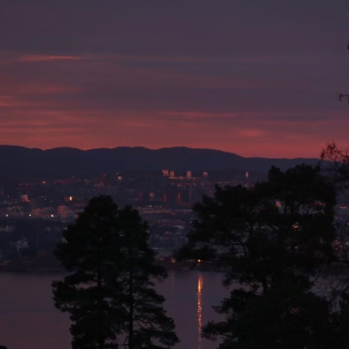 Album cover of i lyngen