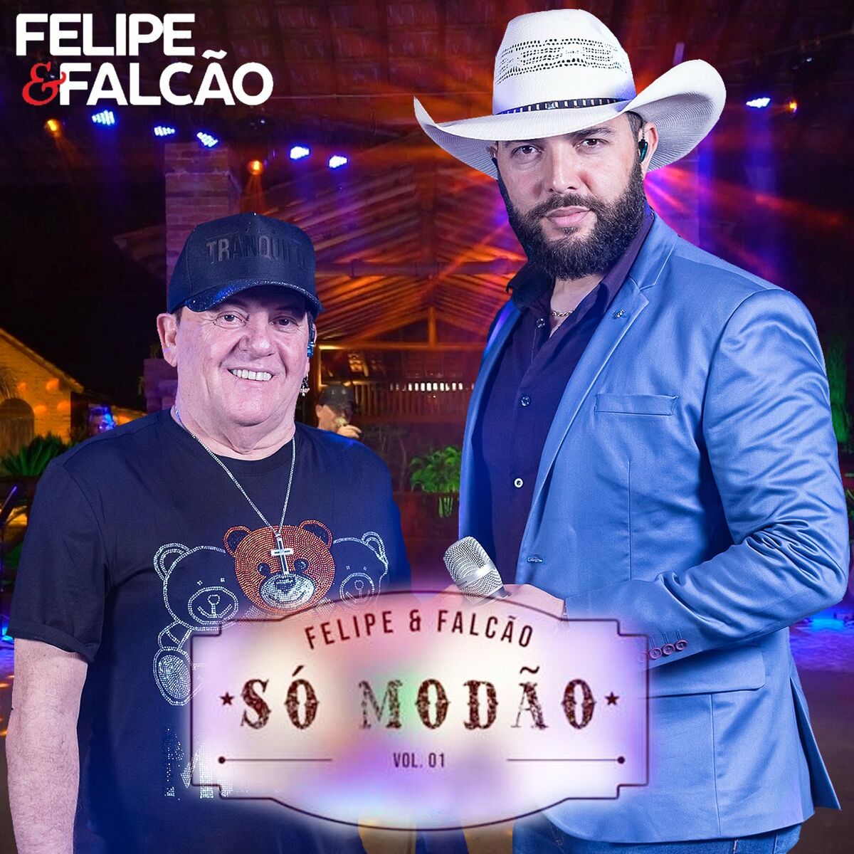 Album cover of Só Modão