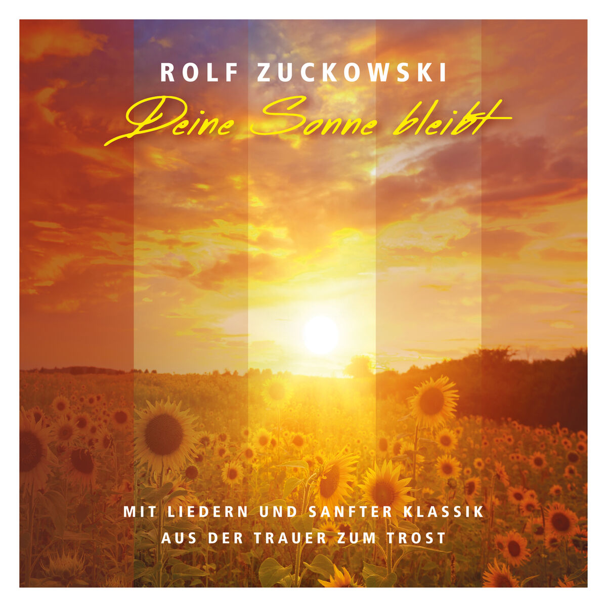 Album cover of Deine Sonne bleibt - Mit Liedern und sanfter Klassik von der Trauer zum Trost