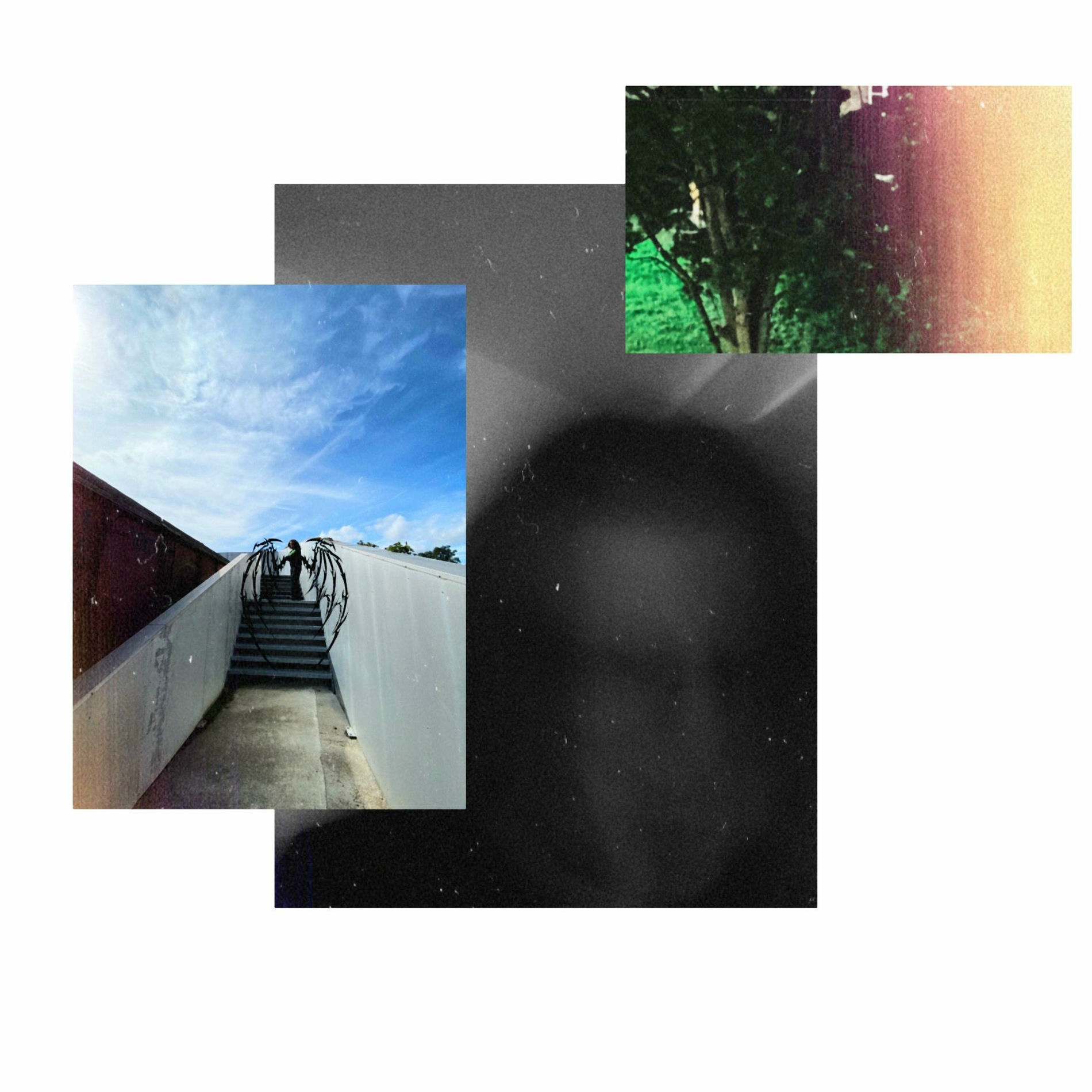 Album cover of immortal (feat. Changeline)